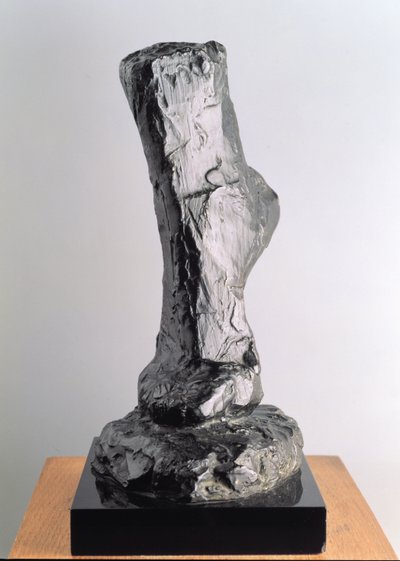 Egy láb tanulmányozása alkotó: Henri Matisse