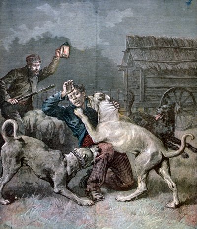 Egy bűnöző, akit három nagytestű kutya támadott meg, 1891 alkotó: Henri Meyer