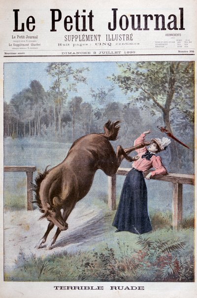 Egy fiatal nőt megrúg egy ló, 1898 alkotó: Henri Meyer