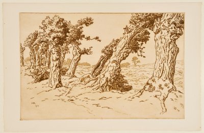 Knotige Baumstämme alkotó: Henri Rivière