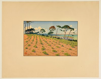 [Douarnenez a Ris-i útról nézve] alkotó: Henri Rivière