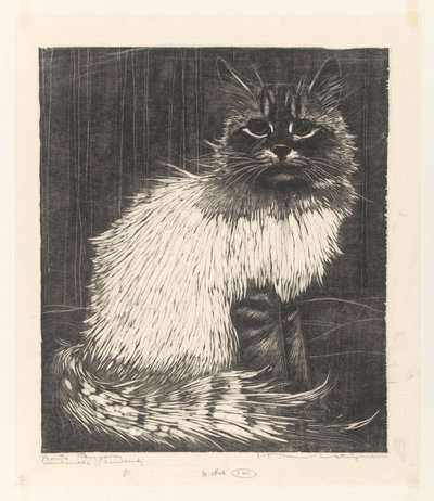 Bonte Angora (eredeti cím a tárgyon) alkotó: Henri Verstijnen (signed by artist)