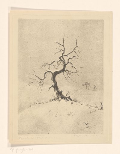 Lonely Tree (eredeti cím az objektumon) alkotó: Henri Verstijnen (signed by artist)