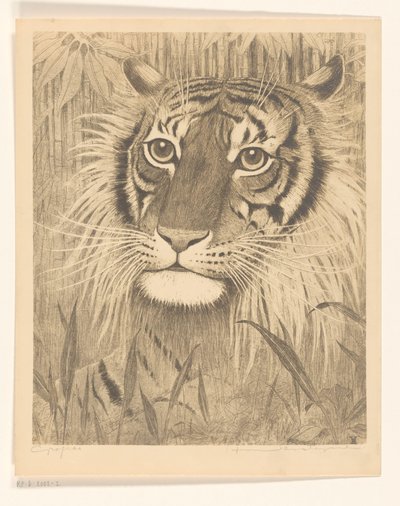 Egy tigris feje alkotó: Henri Verstijnen (signed by artist)