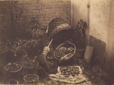 [Csendélet szalmakosarakkal, seprűvel, kibontott krumpliszsákkal és cserepes növényekkel] alkotó: Henri Victor Regnault
