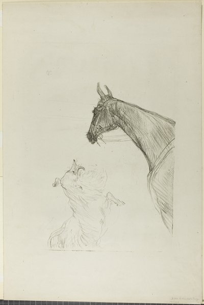 Ló és Collie alkotó: Henri de Toulouse Lautrec