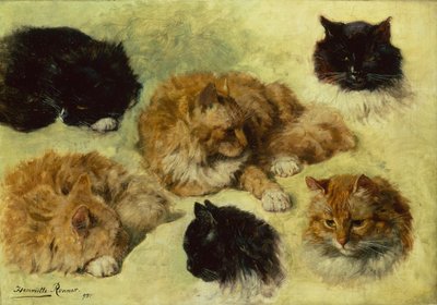 Tanulmányok a macskákról alkotó: Henriëtte Ronner Knip