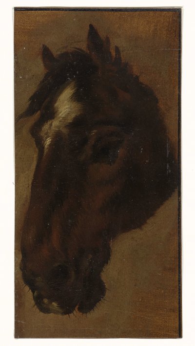 lófej alkotó: Henriëtte Ronner