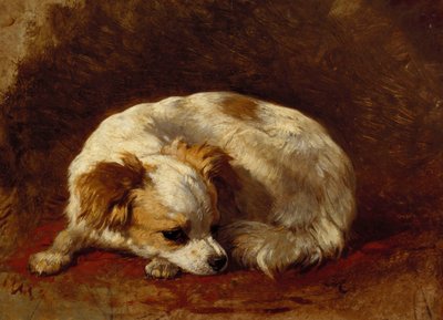 Egy lepke alkotó: Henriëtte Ronner Knip
