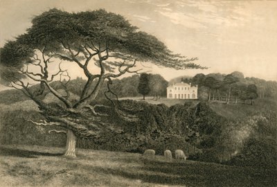 "Szélmalomdomb", 1835. alkotó: Henry Alexander Ogg