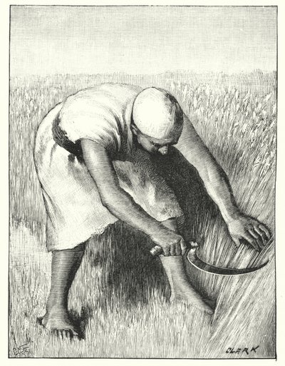 Aratás keleten (litho) alkotó: Henry Andrew Harper