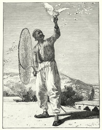 Madarak csapdája a háztetőben keleten (litho) alkotó: Henry Andrew Harper
