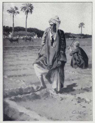Öntözés lábbal Gizében, Egyiptom (litho) alkotó: Henry Andrew Harper