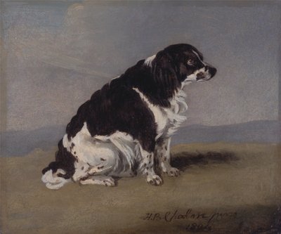 A York hercegnő spánielje alkotó: Henry Bernard Chalon