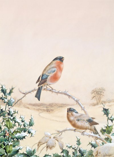 Téli jelenet Chaffinch-szel és Holly-val alkotó: Henry Bright