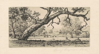 Kaliforniai táj, 1888. alkotó: Henry Chapman Ford