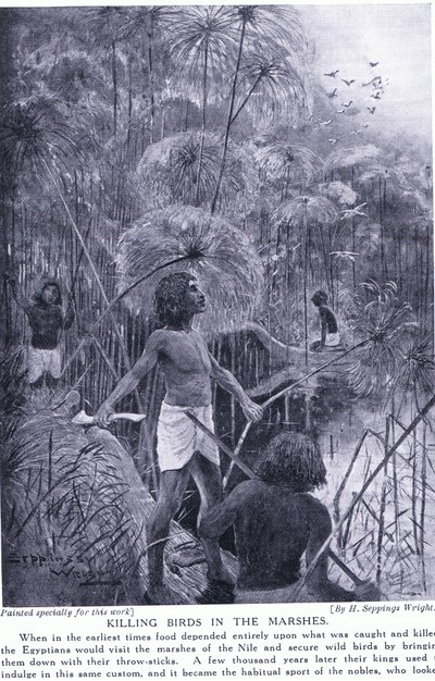 Madarak irtása a mocsárban, 1920 körül alkotó: Henry Charles Seppings Wright