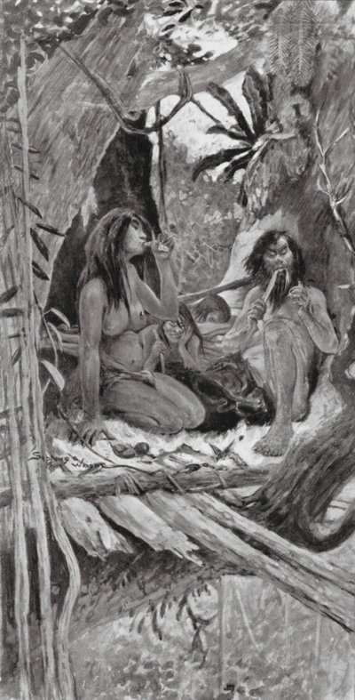 Őskori kínai fák lakói (litográfia) alkotó: Henry Charles Seppings Wright