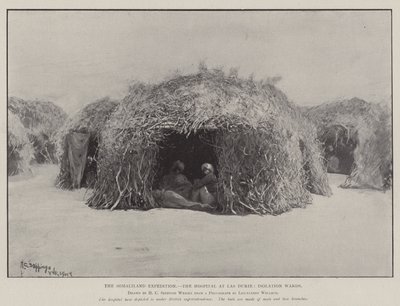 A szomáliai expedíció, a Las Durie-i kórház, az elkülönítő kórtermek alkotó: Henry Charles Seppings Wright