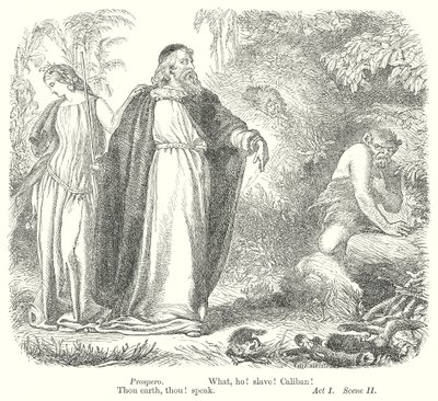 A vihar (metszet) alkotó: Henry Courtney (after) Selous