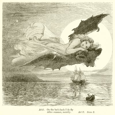A vihar alkotó: Henry Courtney Selous