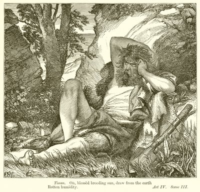 Athéni Timon alkotó: Henry Courtney Selous