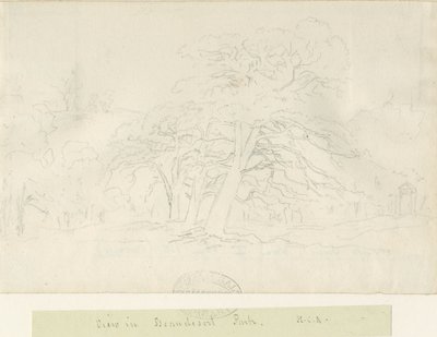 Beaudesert Park: ceruzarajz, nd [1788-1855] alkotó: Henry Curzon Allport