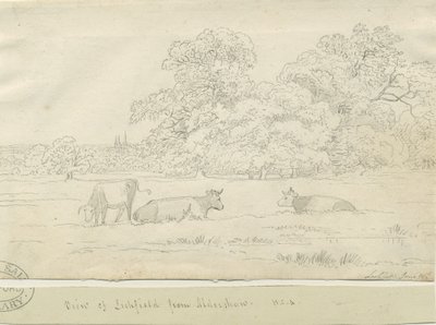 Lichfield – Kilátás Aldershaw felől alkotó: Henry Curzon Allport