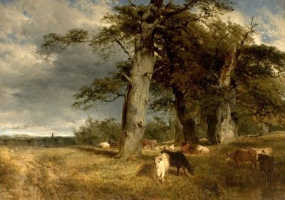 Táj a Dukeriesben, Nottinghamshire, 1850 alkotó: Henry Dawson