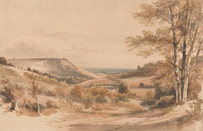 Boxhill a Westhumble Lane-ről alkotó: Henry Edridge