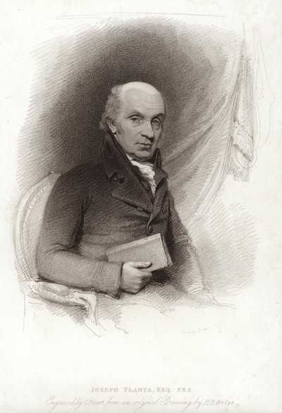 Planta József alkotó: Henry Edridge