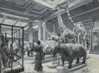 A British Museum belső képe, amely az állatokat bemutató galériát mutatja be, 1880 körül alkotó: Henry Edward Tidmarsh