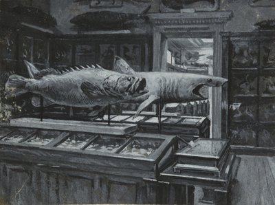 A British Museum belső képe a halkiállítások galériájával, 1880 körül (mosás és testszín papíron) alkotó: Henry Edward Tidmarsh