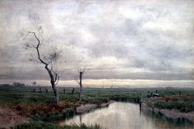 Tengerparti mocsarak (akvarell) alkotó: Henry Farrer