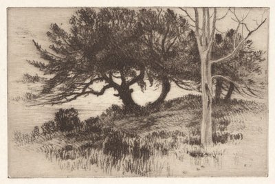 A tenger mellett alkotó: Henry Farrer