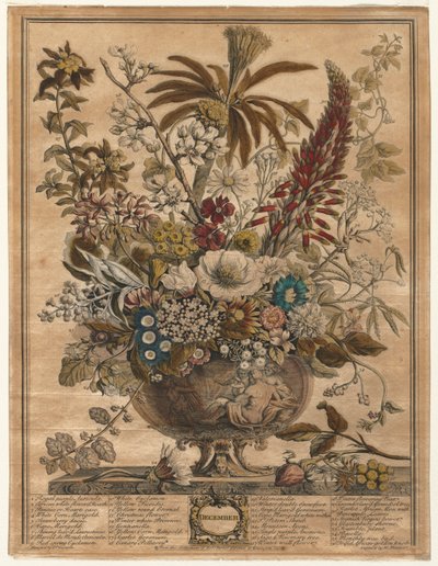 A virágok tizenkét hónapja: 1730. december. alkotó: Henry Fletcher