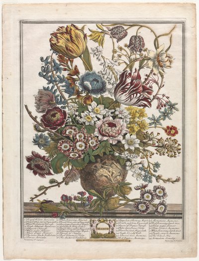 A virágzás tizenkét hónapja: 1730. március. alkotó: Henry Fletcher