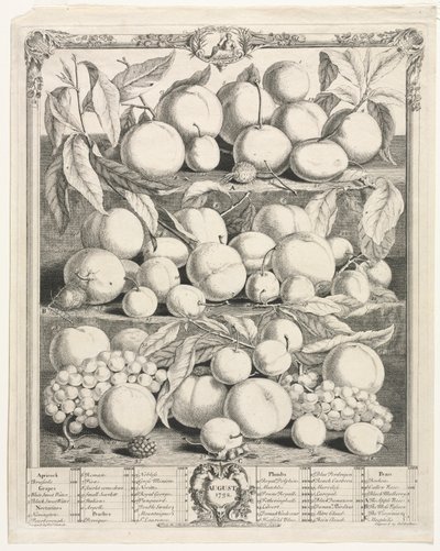 Tizenkét hónapos gyümölcs: 1732. augusztus. alkotó: Henry Fletcher