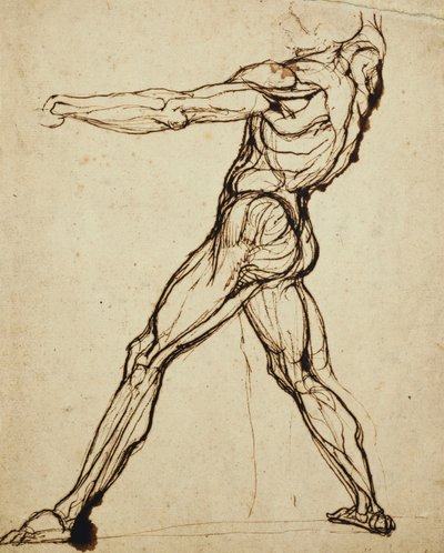 Meztelen dobás, alkotó: Johann Heinrich Füssli