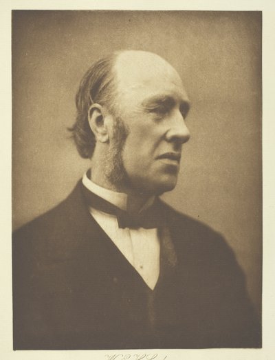 William Edward Hartpole Lecky alkotó: Henry Herschel Hay Cameron