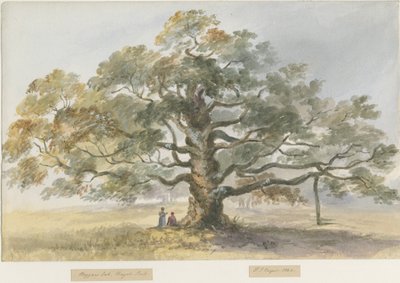 Blithfield – Koldustölgy: vízfestmény, 1844 alkotó: Henry James Noyes