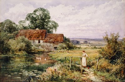 Nézni a kacsákat alkotó: Henry John Sylvester Stannard