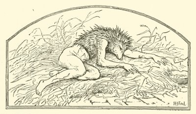 Jack my Hedgehog (metszet) alkotó: Henry Justice Ford