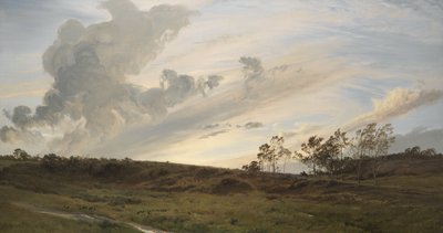 Vad este eső után, Yorkshire alkotó: Henry Moore
