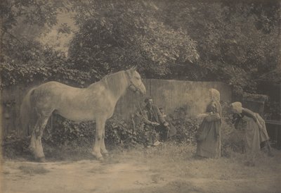 [Old Dapple] alkotó: Henry Peach Robinson