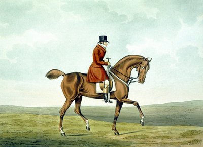 Egy meltonian, ahogy volt, a Meltoniakból, vésette George Hunt alkotó: Henry Thomas (after) Alken