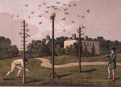 Bagoly, metszette I. Clark, kocsma. szerző: T. McLean, London alkotó: Henry Thomas (after) Alken