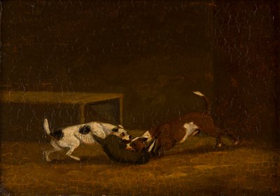 Two Terrier Badger Baiting, c.1805-51 (olaj a panelen) alkotó: Henry Thomas (follower of) Alken