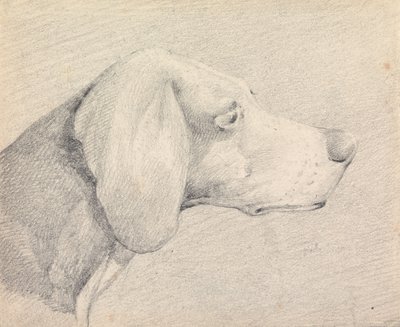 Egy foxhound feje jobbra néző profilban alkotó: Henry Thomas Alken