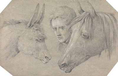 Egy istállófiú feje, amint a balján álló ló és a jobbján álló szamár feje között kinéz alkotó: Henry Thomas Alken